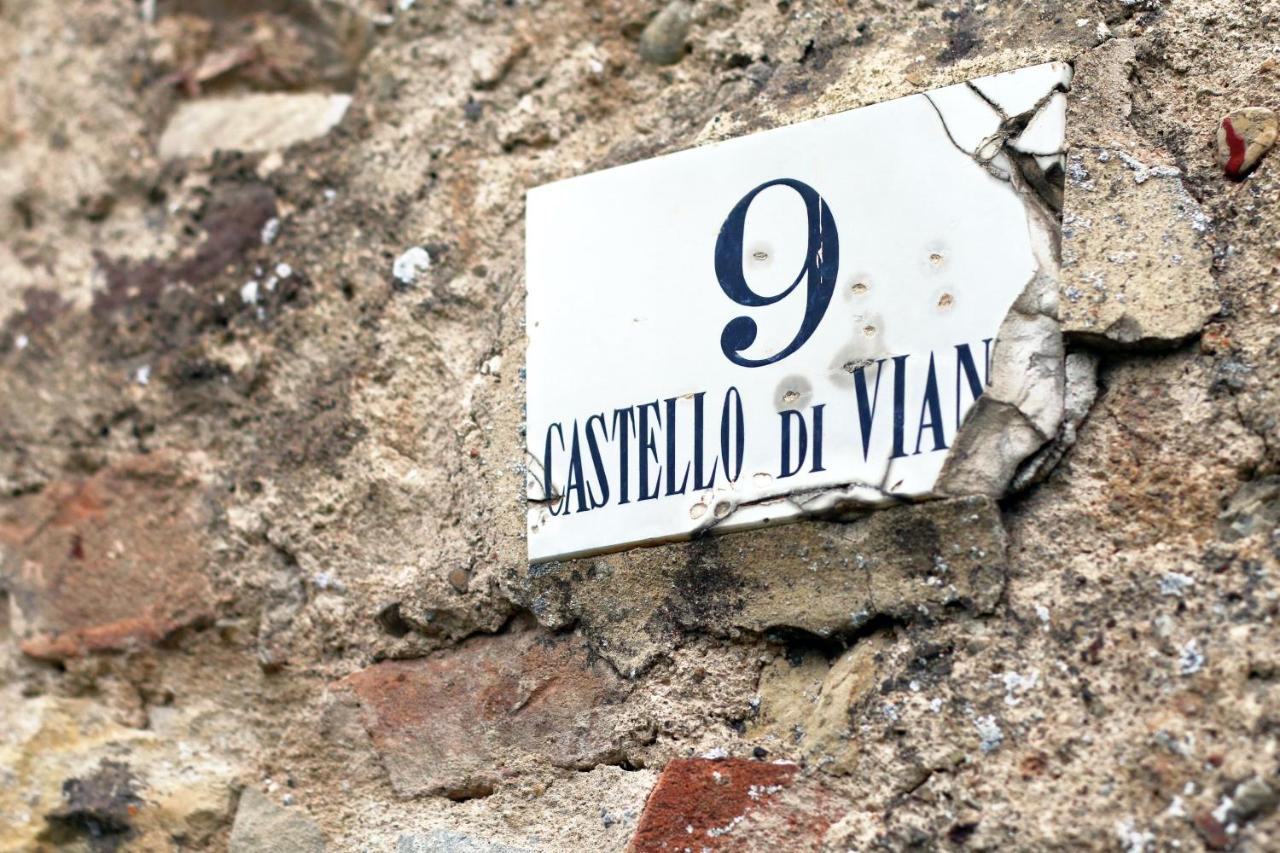 Castello Di Viano Villa ภายนอก รูปภาพ
