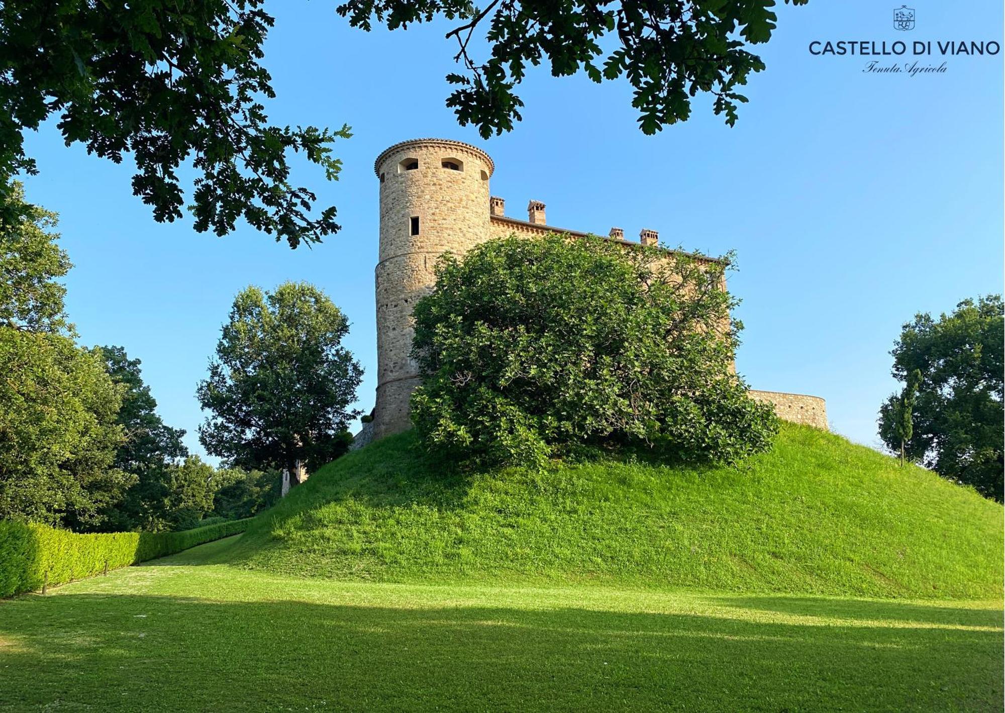 Castello Di Viano Villa ภายนอก รูปภาพ