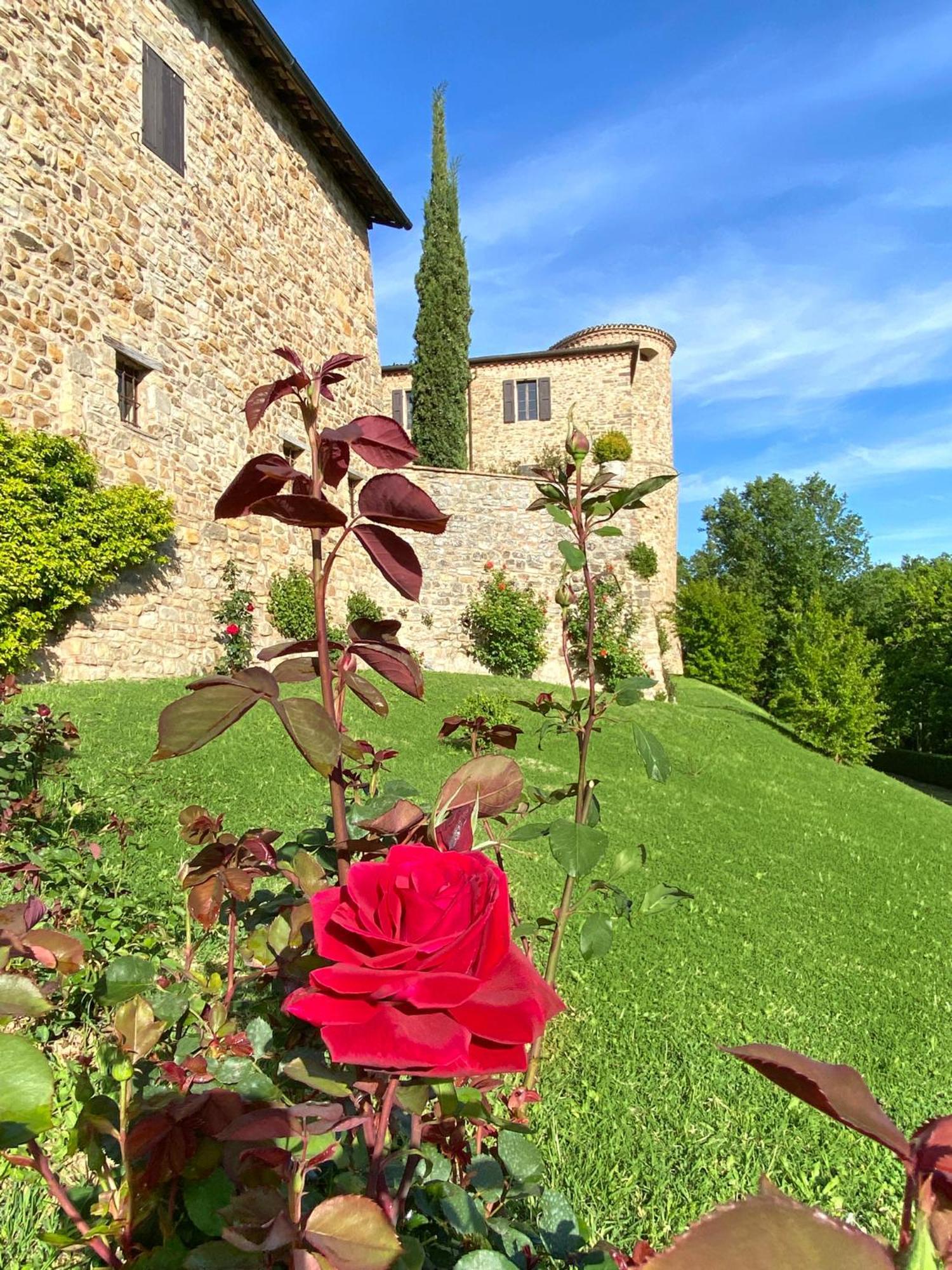 Castello Di Viano Villa ภายนอก รูปภาพ