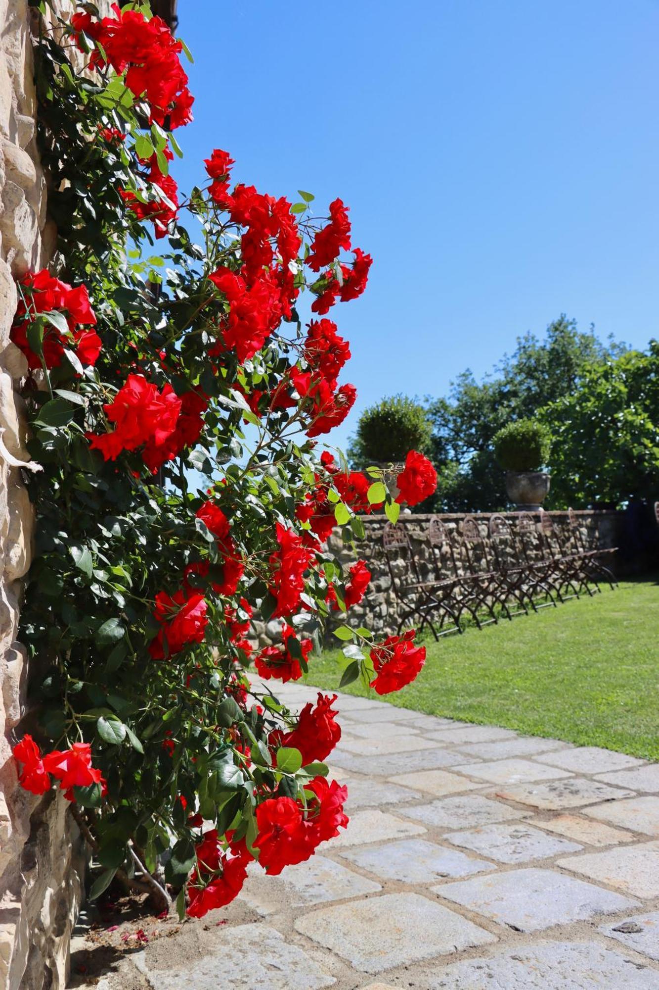 Castello Di Viano Villa ภายนอก รูปภาพ