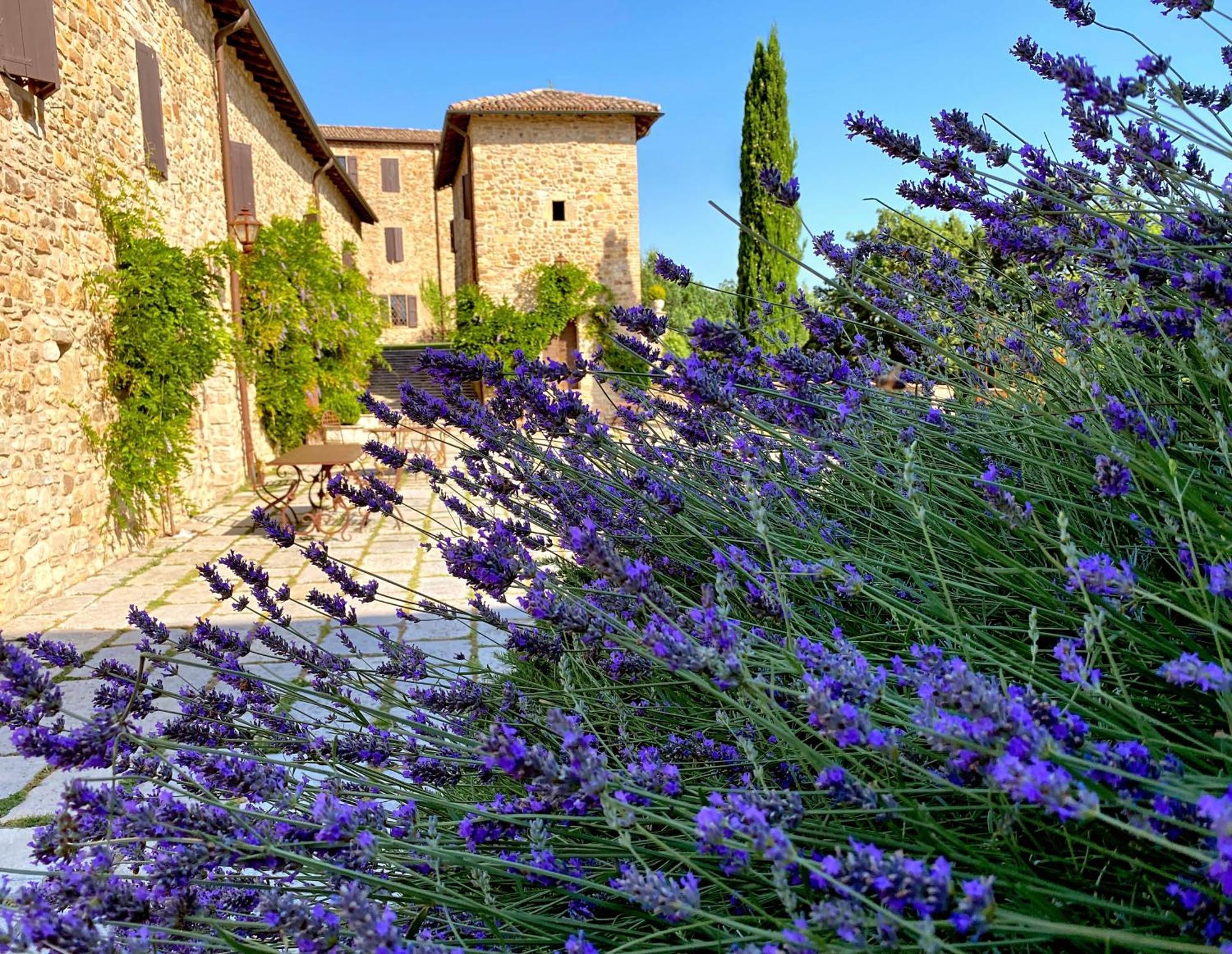 Castello Di Viano Villa ภายนอก รูปภาพ